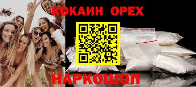 гидра Будённовск