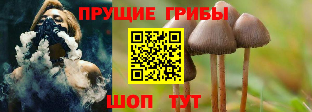 Комсомольск-на-Амуре  дарнет шоп  Вход с VPN  Галлюциногенные грибы Psilocybine cubensis 